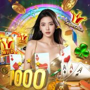 Mr Vegas Casino